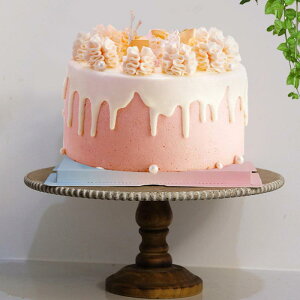 P[LX^h P[Lv[g ؐgC _ ʐ^ LfBv[g fU[g LfBM Cxg p[eB[ a  Lb`p