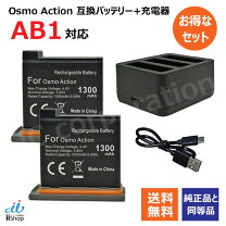 楽天市場】action 3 バッテリーの通販