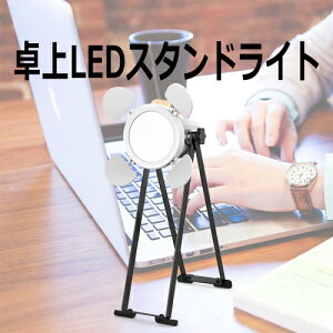 USBo×2 LEDX^hCg fXNCg Cg e[uCg tACg X^hƖ  X^WI X^WICg LED LEDCg Ɩ xbhCg ドCg BeCg 