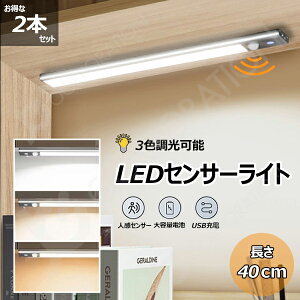 人感センサーLEDライト【40cm】【2本セット】 センサーライト 【宅配便発送】無段階調光 調光 調色 輝度調整 マグネット 超薄型設計 明るさ調整 USB充電式 階段ライト フットライト led 高感度