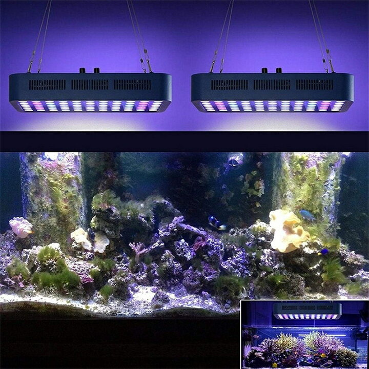 楽天市場】165W 55LEDx3W 水族館 水槽照明 海水魚 サンゴ水槽 珊瑚 