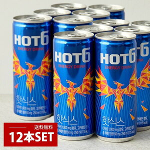 [���b�e] LOTTE HOT6 12�ʃZ�b�g / (250ml×12��) �G�i�W�[�h�����N �؍��h�����N �؍����� ���b�e HOT6 �ۑ����s�g�p ���{�o�[�W����