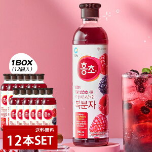 [] g| z` 삢 / 1BOX(900ml×12{j N| |hN ސ| 100%ʎy ʎ̂| rlK[hN N| ʎ| _CGbg|