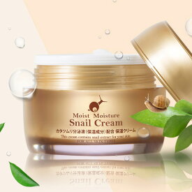 [Skin Holic]スキンホリック モイストモイスチャー 保湿クリーム / 50g カタツムリ 分泌液配合 クリーム 韓国コスメ