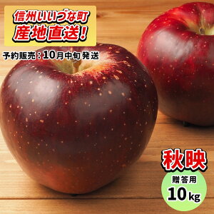 y񂲁z Hf 10kg \̔ 10{ȍ~ 3980~ȏ㑗  쌧эjY 쌧эj Âȃt@[ p MB 10L Mtg ь S Y Y t[c 