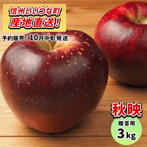 y񂲁z Hf 3kg \̔ 10{ȍ~ 3980~ȏ㑗  쌧эjY 쌧эj Âȃt@[ p MB 3L Mtg ь S Y Y t[c 