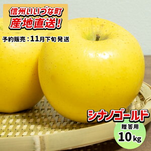 y񂲁z VimS[h 10kg \̔ 11{ȍ~ 3980~ȏ㑗  쌧эjY 쌧эj Âȃt@[ p MB 10L Mtg ь S Y 