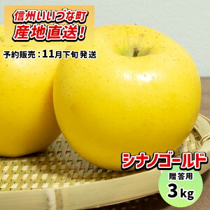 y񂲁z VimS[h 3kg \̔ 11{ȍ~ 3980~ȏ㑗  쌧эjY p MB 3L Mtg ь S Y Y t[c ʕ
