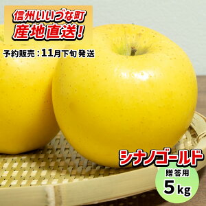 y񂲁z VimS[h 5kg \̔ 11{ȍ~ 3980~ȏ㑗  쌧эjY 쌧эj Âȃt@[ p MB 5L Mtg ь S Y Y 