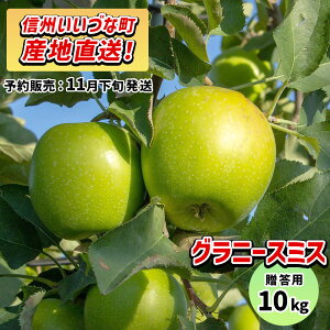 y񂲁z Oj[X~X 10kg \̔ 11{ȍ~ 3980~ȏ㑗  쌧эjY 쌧эj Âȃt@[ p MB 10L Mtg ь S Y 