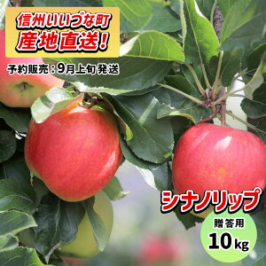 �y��񂲁z �V�i�m���b�v 10kg 8�����{�ȍ~�������� 3980�~�ȏ㑗������ �������� ���쌧�эj���Y ���쌧�эj�� �����Âȃt�@�[�� �����p �M�B 10�L�� �M�t�g �ь� �����S ���Y ���Y �t���[�c 