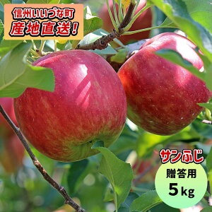 y񂲁z Tӂ 5kg 12{ȍ~ 3980~ȏ㑗  쌧эjY 쌧эj Âȃt@[ p MB 5L Mtg ь S Y Y t[c ʕ 