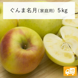 y񂲁z ܖ 5kg \񔭑 2025N 11{ȍ~  쌧эjY 쌧эj 󂠂 p ƒp MB 5L ь S Y Y