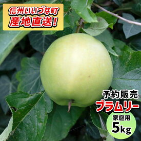 【りんご】 ブラムリー 5kg 予約販売 9月上旬以降順次発送予定 長野 3980円以上送料無料 送料無料 長野県飯綱町産 長野県飯綱町 いいづなファーム 訳あり 自宅用 家庭用 信州 5キロ ギフト 林檎 リンゴ 名産 特産 フルーツ 果物 りんご長野県産 長野