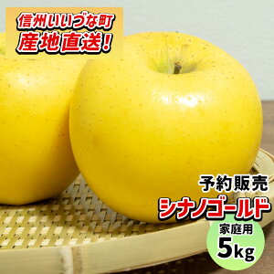 y񂲁z VimS[h 5kg \̔ 2025N 11{ȍ~   쌧эjY 쌧эj 󂠂 p ƒp MB 5L Mtg ь S Y