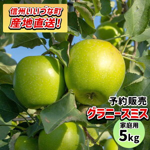 y񂲁z Oj[X~X 5kg \̔ 2025N 11{ȍ~   쌧эjY 쌧эj Âȃt@[ 󂠂 p ƒp MB 5L Mtg ь S 
