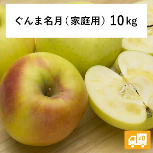 y񂲁z ܖ 10kg \񔭑 2025N 11{ȍ~  쌧эjY 쌧эj 󂠂 p ƒp MB 10L ь S Y Y