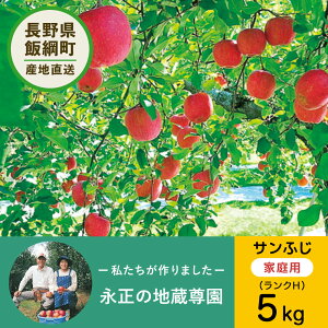 12月上旬以降発送 【りんご】 永正の地蔵尊園 サンふじ 5kg H 14〜18玉 3980円以上送料無料 送料無料 長野県飯綱町産 家庭用 訳あり 信州 5キロ りんご 林檎 リンゴ 名産 特産 フルーツ 果物