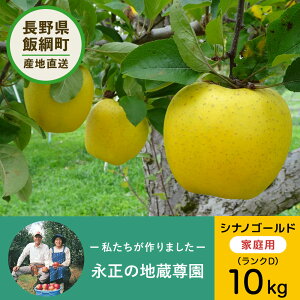 12{ȍ~ y񂲁z i̒n VimS[h 10kg D 28`36 3980~ȏ㑗  쌧эjY ƒp 󂠂 MB 10L  ь S Y Y t[c 