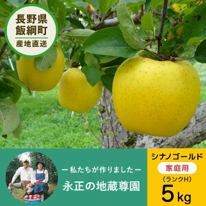 12{ȍ~ y񂲁z i̒n VimS[h 5kg H 14`18 3980~ȏ㑗  쌧эjY ƒp 󂠂 MB 5L  ь S Y Y t[c 