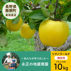 12月上旬以降発送 【りんご】 永正の地蔵尊園 シナノゴールド 10kg A 28玉以上 3980円以上送料無料 送料無料 長野県飯綱町産 贈答用 信州 10キロ ギフト りんご 林檎 リンゴ 名産 特産 フルーツ