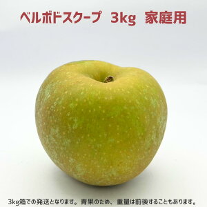 y񂲁zx{hXN[v 3kg \̔ 2025N 10{ȍ~   쌧эjY 쌧эj Âȃt@[ 󂠂 p ƒp MB 3L Mtg ь S 