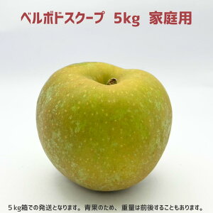 y񂲁zx{hXN[v 5kg \̔ 2025N 10{ȍ~   쌧эjY 쌧эj Âȃt@[ 󂠂 p ƒp MB 5L Mtg ь S 