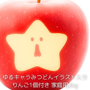 y񂲁z ӂ 2kg ƒp  3980~ȏ㑗 ݂ǂG݂ǂ1ȏt 쌧эjY MB 2L Mtg ь S Y Y t[c ʕ 񂲒