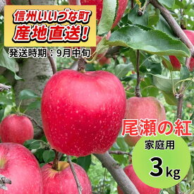 【りんご】 おぜの紅（おぜのくれない） 3kg 予約販売 2026年9月中旬以降順次発送予定 送料無料 訳あり 自宅用 家庭用 長野県 飯綱町産 信州 フルーツ 果物 りんご みつどんマルシェ 飯綱町ふるさと振興公社