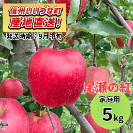 【りんご】 おぜの紅（おぜのくれない） 5kg 予約販売 2026年9月中旬以降順次発送予定 送料無料 訳あり 自宅用 家庭用 長野県 飯綱町産 信州 フルーツ 果物 りんご みつどんマルシェ 飯綱町ふるさと振興公社