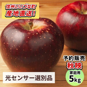 �y��񂲁z���ӂ�� �H�f 5kg �󂠂� �킯���� �������� �t���[�c �����ۏ� �s���� �K�i�O �� ���Z���T�[ �ь� 5�L�� �Y�n���� 2026�N10����{���`10�����{�������\�� �������� �ߘa8�N���n��