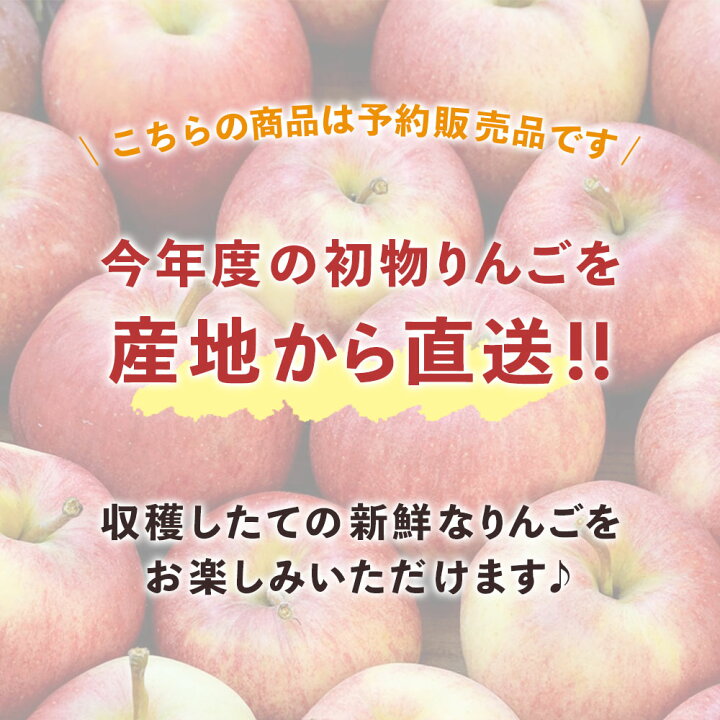 楽天市場】【りんご】 ぐんま名月 5kg 予約発送 2026年 11月上旬以降 