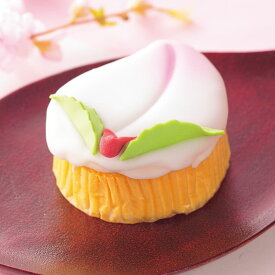 【送料無料】【期間限定】桃カステラ×2個詰合せ贈答品 プレゼント ギフト お取り寄せ スイーツ 長崎 お土産 郷土菓子 誕生日 結婚 出産 入学 転勤 挨拶 御祝 節句 お返し 初節句 内祝い