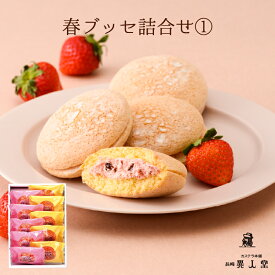 【送料無料】【期間限定】春ブッセ詰合せ1（いちごブッセ・オランダブッセ各5個）ギフト プチギフト 個包装 長崎 お土産 お取り寄せ スイーツ 洋菓子