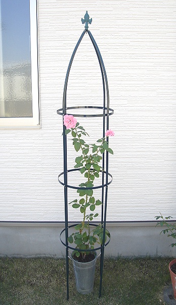立体感のあるお庭づくりに背が高い鉄製のオベリスク バラ クレマチスに鉄製オベリスク高さ１９３ｃｍ 高い素材 薔薇 タワー クライマー つるバラ つる性 半額