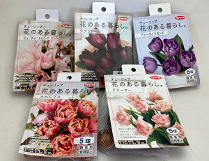 TJ^̃^l@Ԃ̂炵ς`[bv @55Zbg