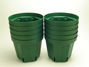 ݁iꕔjXbg 5 10Zbg