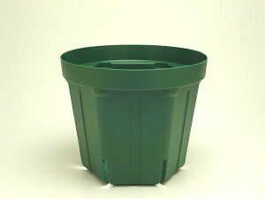 NX}X[YɃXbg 5ϗtA o Aؔ l܂h~ ƂłȂ|bg CSM