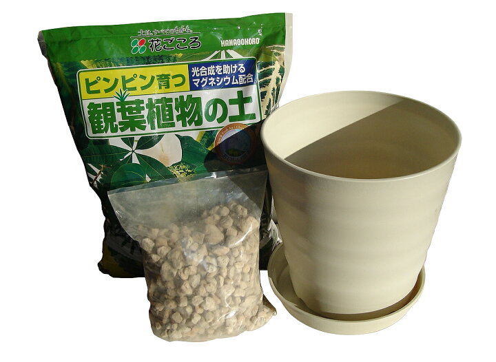 楽天市場 オフィスにも人気送料込み 一部除く 観葉植物 植え替え セット １０号鉢 土 鉢底石 受皿のセット大型 室内 送料無料 モンステラ ウンベラータ パキラ プラスチック 軽い 30cm 植替え おしゃれ ガーデニング用品テラコッター