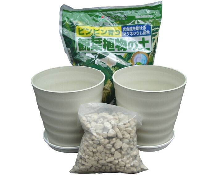 楽天市場 送料込み 一部除く 観葉植物 植え替え セット ８号 ２鉢分鉢 土 鉢底石 受皿のセット24cm モンステラ ウンベラータ ヤシ パキラ 室内 プラスチック 送料無料 植替え おしゃれ ガーデニング用品テラコッター