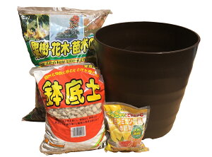݁iꕔj AւZbg@12AyA엿A΂̃Zbg^   ʎc k  ʎ EG  iꕔj
