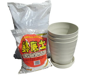 ウンベラータ 観葉植物 プランターの人気商品 通販 価格比較 価格 Com