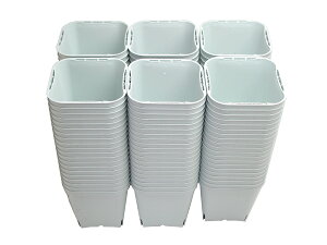 ݁iꕔjdXbg|bg@9cmiő啔j@120ZbgLyriconte@L-9-03