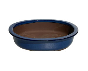 四日市焼オカメ 小判 8号 生子陶器鉢 日本製 植木鉢 盆栽 小品盆栽
