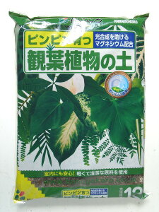 培養土 用土 ウンベラータの人気商品 通販 価格比較 価格 Com