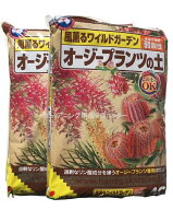 2袋セット　送料込み（一部除く）オージープランツの土　12L×2袋