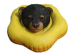 t[gAj}@FIuWF xA[  u t[eBO