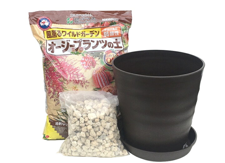 楽天市場】送料込み（一部除く）オージープランツ 植え替えセット 10 
