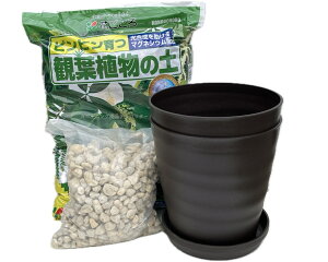 VbNȃ_[NuEF݁iꕔjϗtA Aւ Zbg@8 2AyA΁AM̃Zbg