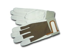 dCHmZ\΍iÉEHEpiOaƗp܁@i܂jTT|1@TCYI肢܂B